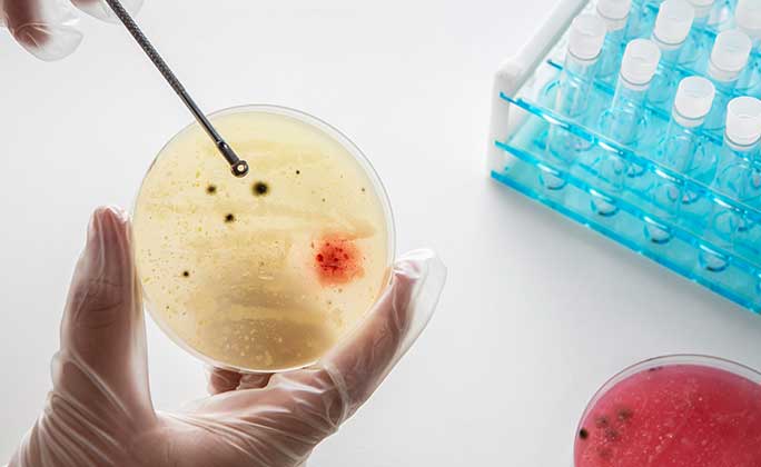 Microbiology and Immunology